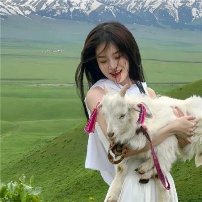 云海尽头无归期